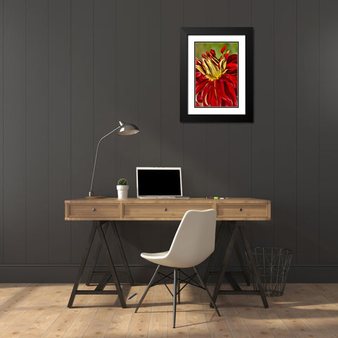 USA, Washington Detail of dahlia flower Black Modern Wood Framed Art Print with Double Matting by Shimlock, Jones