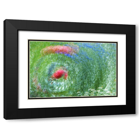 WA, Whidbey Isl Montage of flowers and greenery Black Modern Wood Framed Art Print with Double Matting by Bush, Marie