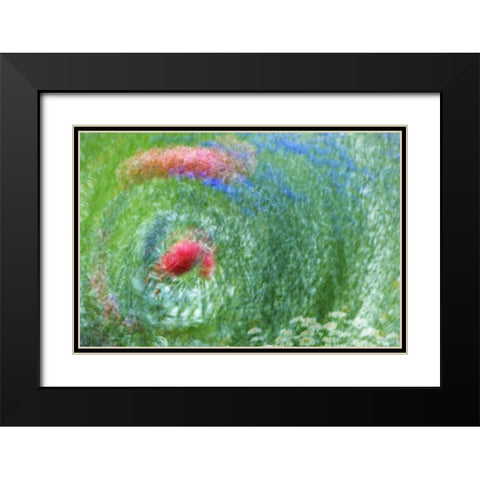 WA, Whidbey Isl Montage of flowers and greenery Black Modern Wood Framed Art Print with Double Matting by Bush, Marie