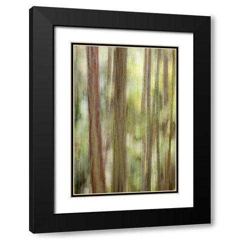 Washington, San Juans Abstract woodland scene Black Modern Wood Framed Art Print with Double Matting by Paulson, Don