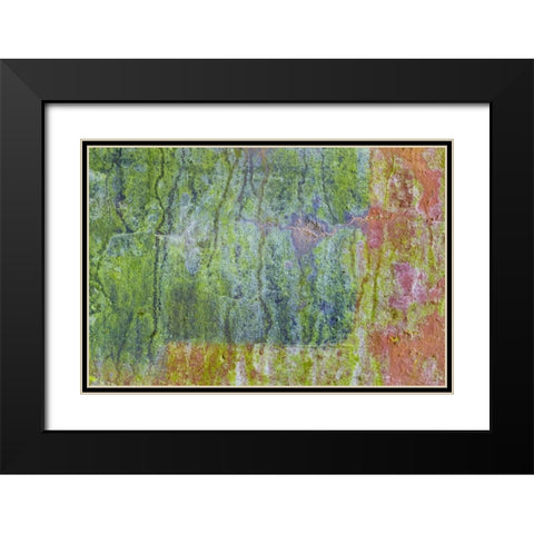Washington, Fort Hayden Abstract painted wall Black Modern Wood Framed Art Print with Double Matting by Paulson, Don