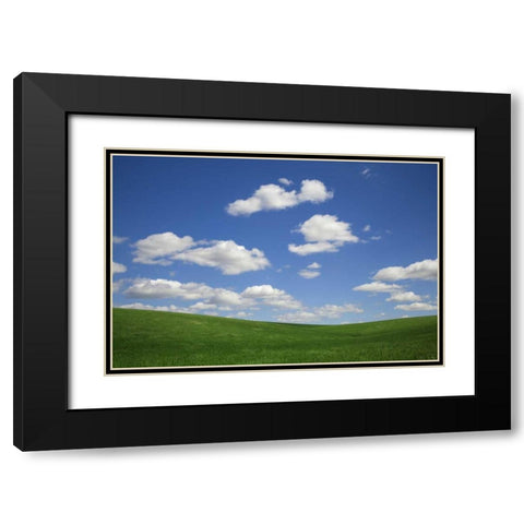 Washington, Palouse Green wheat field landscape Black Modern Wood Framed Art Print with Double Matting by Flaherty, Dennis