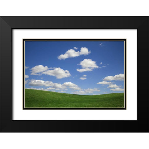 Washington, Palouse Green wheat field landscape Black Modern Wood Framed Art Print with Double Matting by Flaherty, Dennis