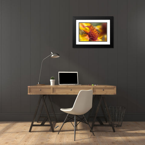 Washington State, Palouse A sunflower Black Modern Wood Framed Art Print with Double Matting by Flaherty, Dennis