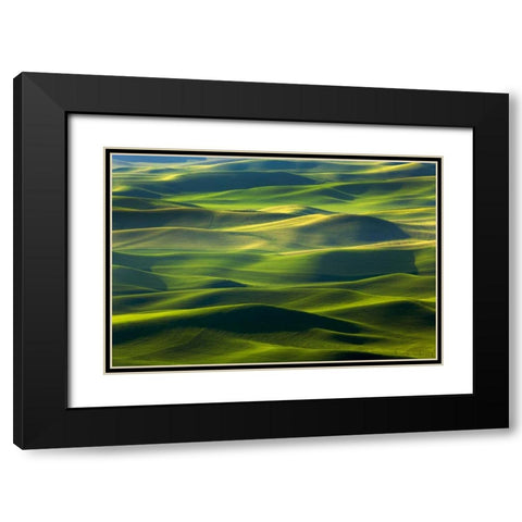 WA, Palouse Hills Farmland from Steptoe Butte Black Modern Wood Framed Art Print with Double Matting by Paulson, Don