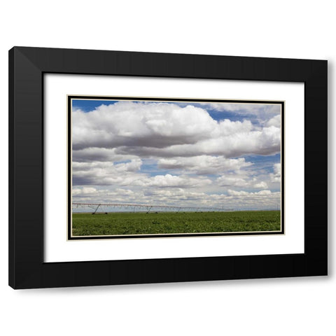 WA, Connell Irrigation device in farm field Black Modern Wood Framed Art Print with Double Matting by Paulson, Don