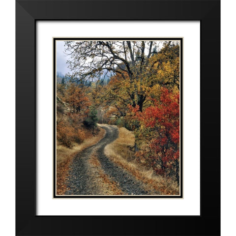 WA, Columbia Gorge NSA Road and autumn oaks Black Modern Wood Framed Art Print with Double Matting by Terrill, Steve