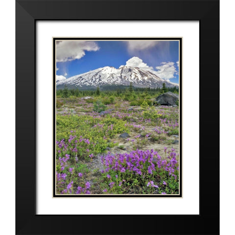 WA, Gifford Pinchot NF Mount St Helens landscape Black Modern Wood Framed Art Print with Double Matting by Terrill, Steve