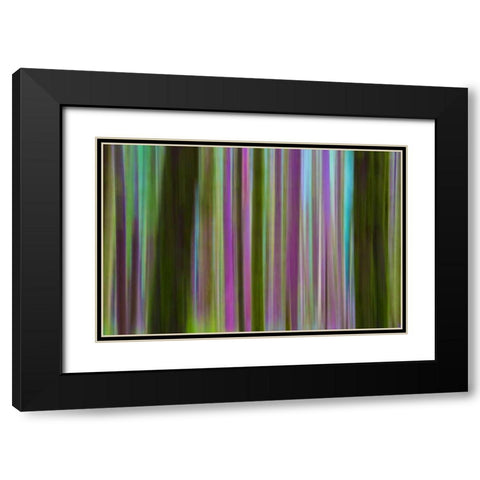 Washington Abstract of Hoh Rain Forest at dusk Black Modern Wood Framed Art Print with Double Matting by Delisle, Gilles
