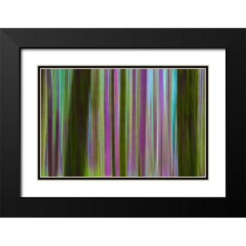 Washington Abstract of Hoh Rain Forest at dusk Black Modern Wood Framed Art Print with Double Matting by Delisle, Gilles