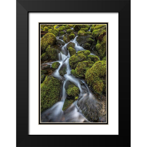 Washington State-Olympic National Park Cedar Creek scenic Black Modern Wood Framed Art Print with Double Matting by Jaynes Gallery