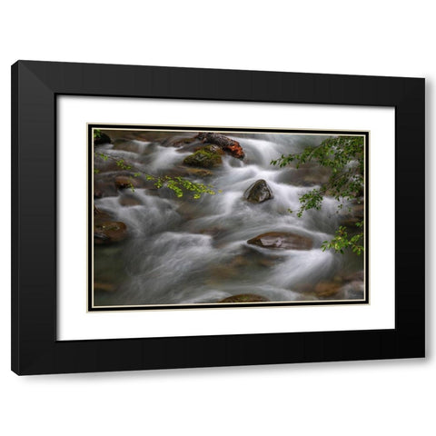 Washington State-Olympic National Park Dungeness River rapids  Black Modern Wood Framed Art Print with Double Matting by Jaynes Gallery
