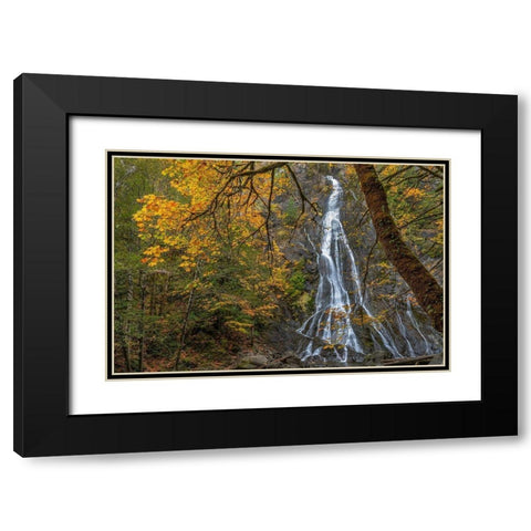 Washington State-Olympic National Forest Rocky Brook Falls and forest  Black Modern Wood Framed Art Print with Double Matting by Jaynes Gallery