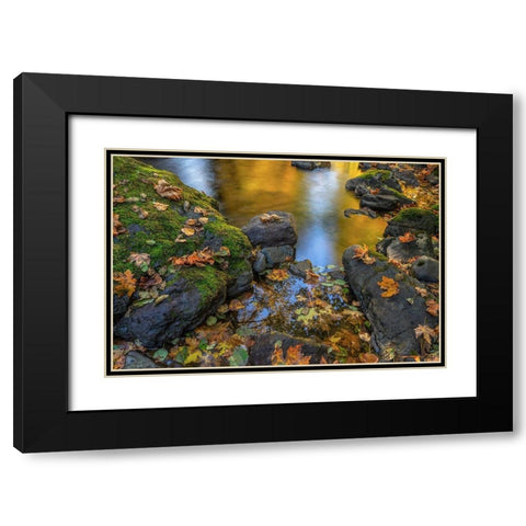Washington State-Olympic National Forest Reflections of autumn in Rocky Creek  Black Modern Wood Framed Art Print with Double Matting by Jaynes Gallery