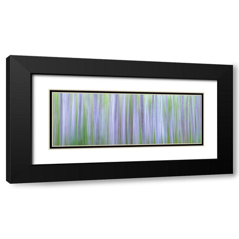 Washington State-Seabeck Panoramic abstract of alder grove  Black Modern Wood Framed Art Print with Double Matting by Jaynes Gallery