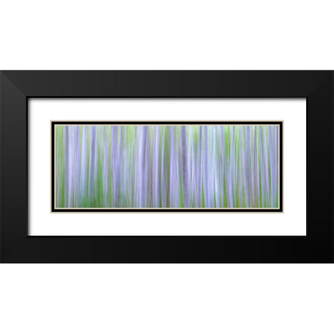 Washington State-Seabeck Panoramic abstract of alder grove  Black Modern Wood Framed Art Print with Double Matting by Jaynes Gallery