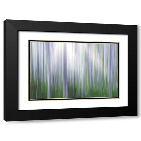Washington State-Seabeck Panoramic abstract of alder grove  Black Modern Wood Framed Art Print with Double Matting by Jaynes Gallery