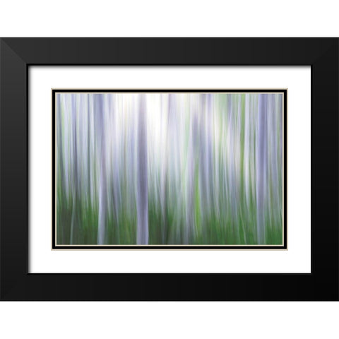 Washington State-Seabeck Panoramic abstract of alder grove  Black Modern Wood Framed Art Print with Double Matting by Jaynes Gallery
