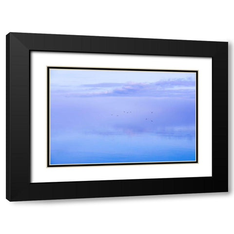 Washington State-Seabeck Ducks flying over Hood Canal  Black Modern Wood Framed Art Print with Double Matting by Jaynes Gallery