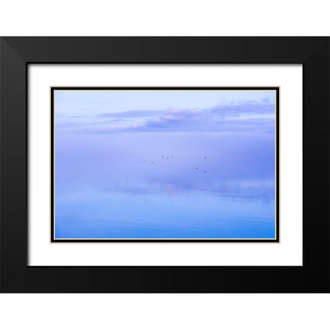 Washington State-Seabeck Ducks flying over Hood Canal  Black Modern Wood Framed Art Print with Double Matting by Jaynes Gallery