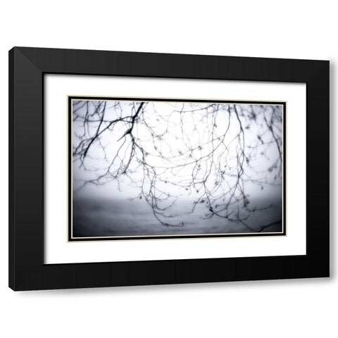 Washington State-Seabeck Alder branches in winter and Hood Canal  Black Modern Wood Framed Art Print with Double Matting by Jaynes Gallery