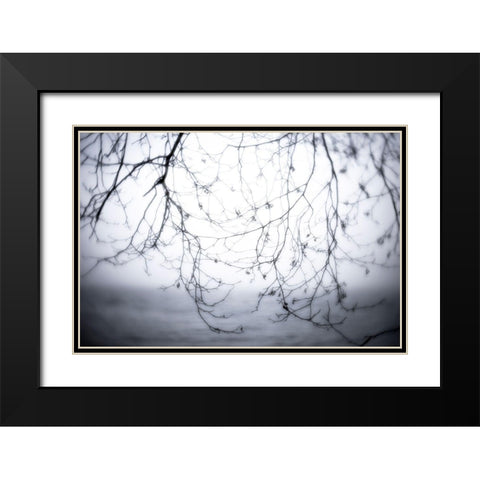 Washington State-Seabeck Alder branches in winter and Hood Canal  Black Modern Wood Framed Art Print with Double Matting by Jaynes Gallery