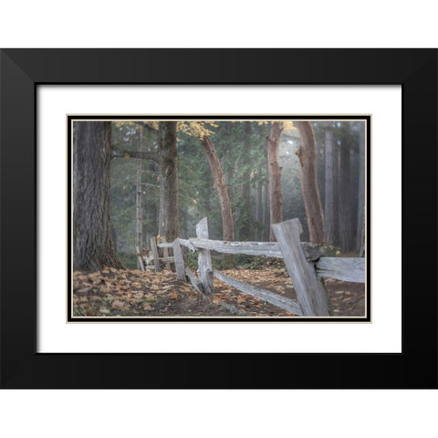 Washington State-Seabeck Split-rail fence and forest  Black Modern Wood Framed Art Print with Double Matting by Jaynes Gallery