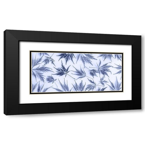 Washington State-Seabeck Panoramic of lace leaf maple leaves  Black Modern Wood Framed Art Print with Double Matting by Jaynes Gallery