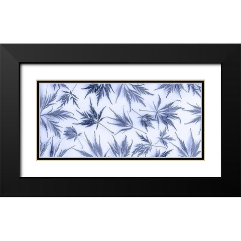 Washington State-Seabeck Panoramic of lace leaf maple leaves  Black Modern Wood Framed Art Print with Double Matting by Jaynes Gallery