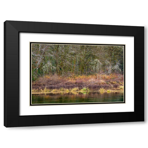 Washington State-Hood Canal Forest reflects in canal  Black Modern Wood Framed Art Print with Double Matting by Jaynes Gallery