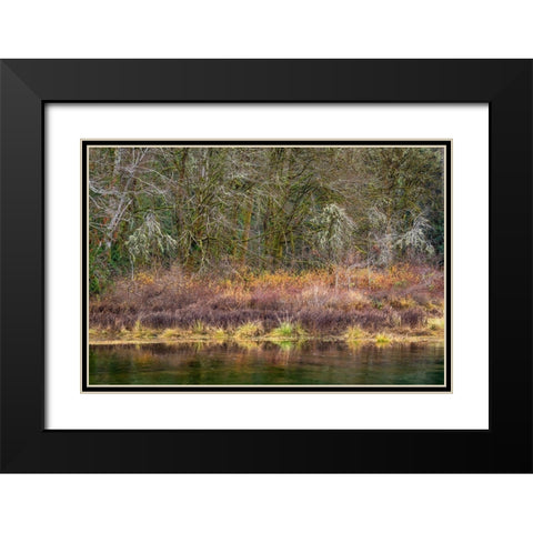 Washington State-Hood Canal Forest reflects in canal  Black Modern Wood Framed Art Print with Double Matting by Jaynes Gallery