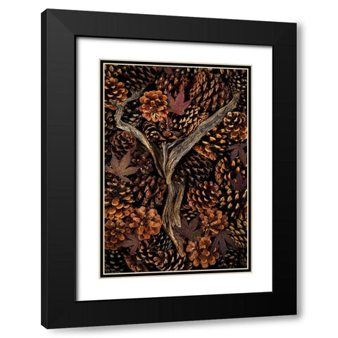 Washington State-Seabeck Pine cones and fall leaves  Black Modern Wood Framed Art Print with Double Matting by Jaynes Gallery