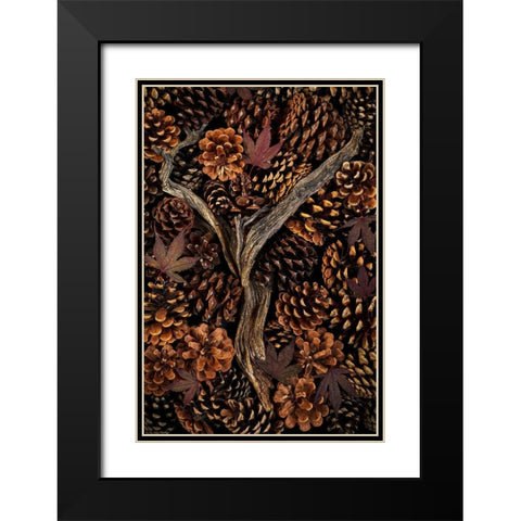 Washington State-Seabeck Pine cones and fall leaves  Black Modern Wood Framed Art Print with Double Matting by Jaynes Gallery