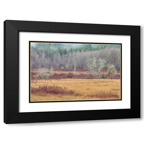Washington State-Dewatto Autumn meadow and forest  Black Modern Wood Framed Art Print with Double Matting by Jaynes Gallery
