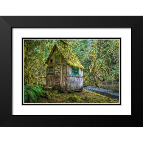 Washington State-Olympic National Park Tolkien-like abandoned cabin Black Modern Wood Framed Art Print with Double Matting by Jaynes Gallery