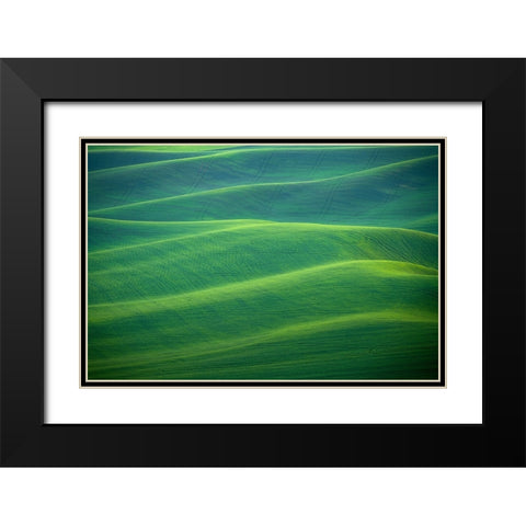 USA-Washington-Palouse-Rolling spring wheat fields Black Modern Wood Framed Art Print with Double Matting by Jaynes Gallery