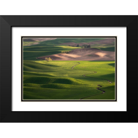 USA-Washington-Palouse-Rolling spring wheat fields Black Modern Wood Framed Art Print with Double Matting by Jaynes Gallery
