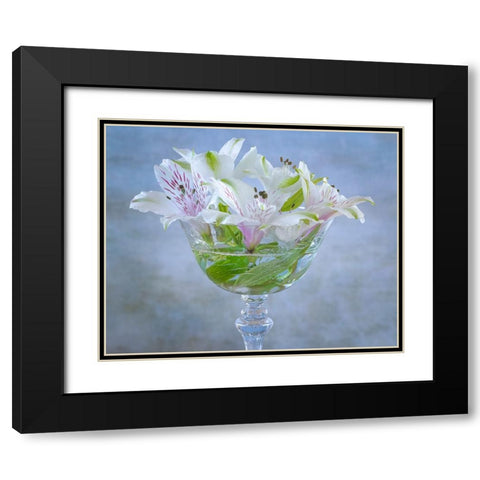 USA-Washington State-Seabeck Alstroemeria blossoms in vase Black Modern Wood Framed Art Print with Double Matting by Jaynes Gallery
