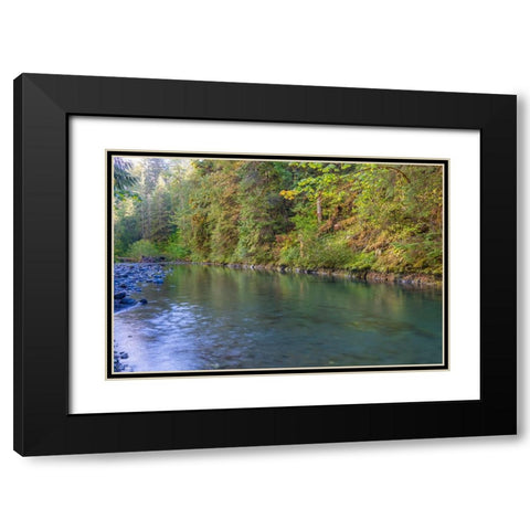 USA-Washington State-Olympic National Forest Duckabush River landscape Black Modern Wood Framed Art Print with Double Matting by Jaynes Gallery