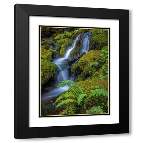 USA-Washington State-Olympic National Park Cedar Creek cascades through moss- covered boulders Black Modern Wood Framed Art Print with Double Matting by Jaynes Gallery