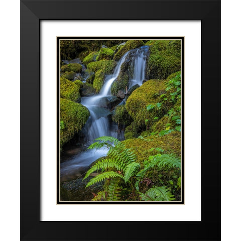 USA-Washington State-Olympic National Park Cedar Creek cascades through moss- covered boulders Black Modern Wood Framed Art Print with Double Matting by Jaynes Gallery