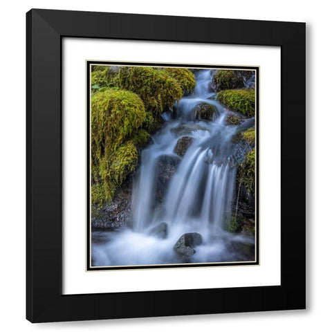 USA-Washington State-Olympic National Park Cedar Creek cascades through moss- covered boulders Black Modern Wood Framed Art Print with Double Matting by Jaynes Gallery