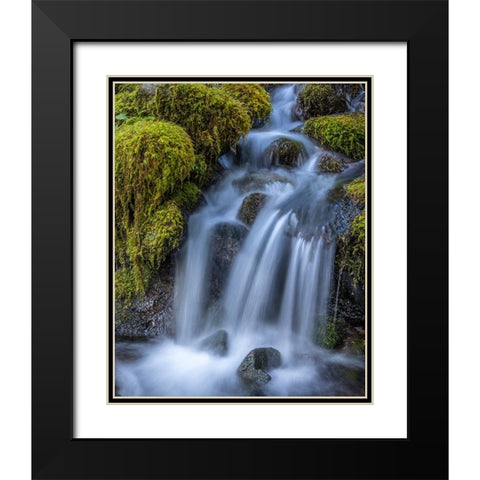 USA-Washington State-Olympic National Park Cedar Creek cascades through moss- covered boulders Black Modern Wood Framed Art Print with Double Matting by Jaynes Gallery