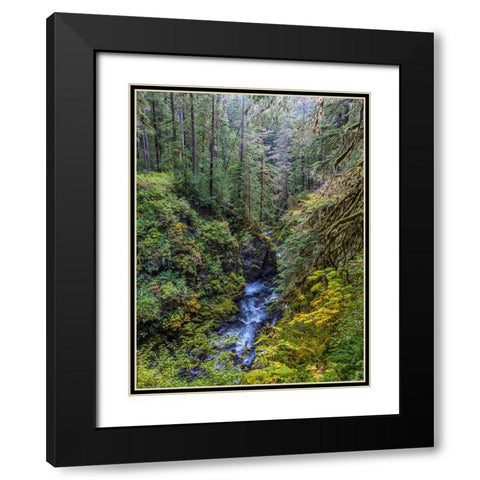 USA-Washington State-Olympic National Park The Sol Duc River runs through forest Black Modern Wood Framed Art Print with Double Matting by Jaynes Gallery