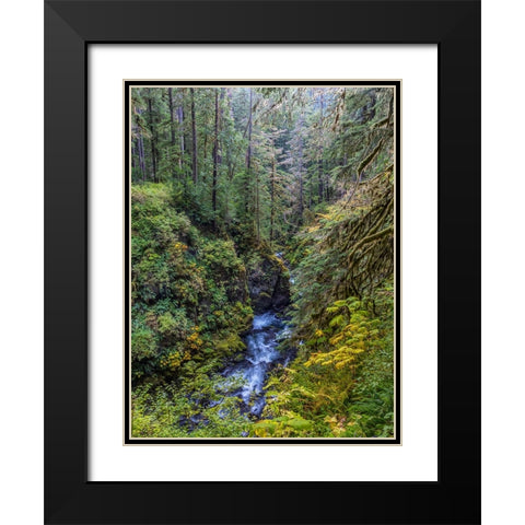 USA-Washington State-Olympic National Park The Sol Duc River runs through forest Black Modern Wood Framed Art Print with Double Matting by Jaynes Gallery