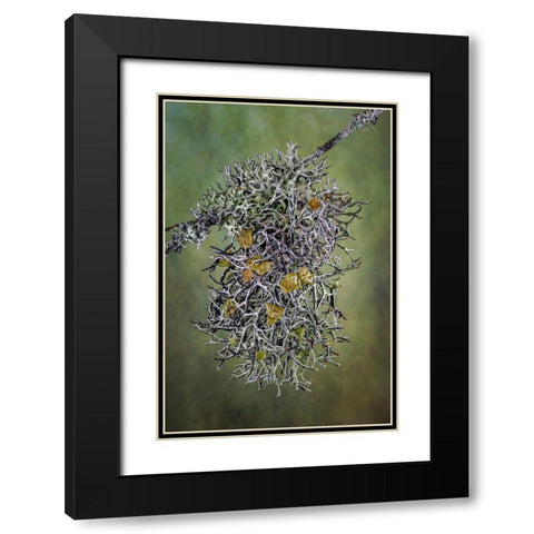 Plant close-up. Black Modern Wood Framed Art Print with Double Matting by Jaynes Gallery