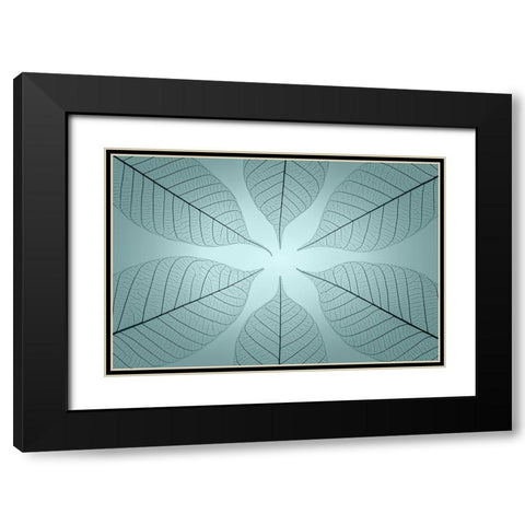 USA- Washington State- Seabeck. Pattern of skeletonized leaves. Black Modern Wood Framed Art Print with Double Matting by Jaynes Gallery