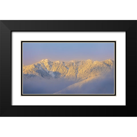 USA- Washington State. Sunrise on snow-covered mountains in Olympic National Forest. Black Modern Wood Framed Art Print with Double Matting by Jaynes Gallery