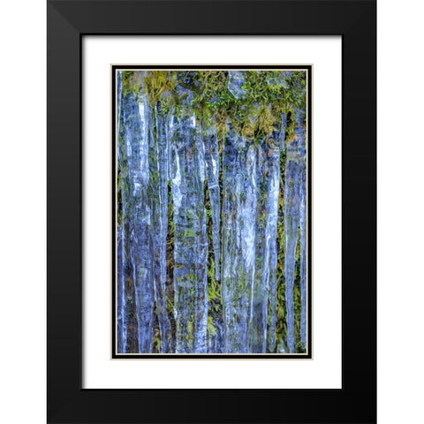 USA- Washington State- Seabeck. Close-up of icicles and moss. Black Modern Wood Framed Art Print with Double Matting by Jaynes Gallery