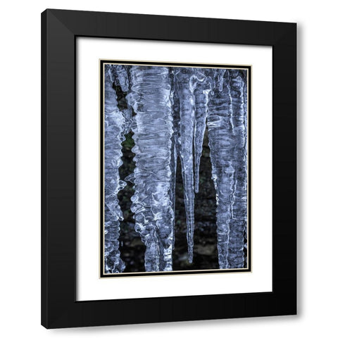 USA- Washington State- Seabeck. Close-up of icicles. Black Modern Wood Framed Art Print with Double Matting by Jaynes Gallery